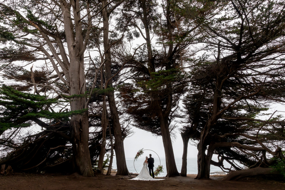 Mendocino Wedding Overlook
